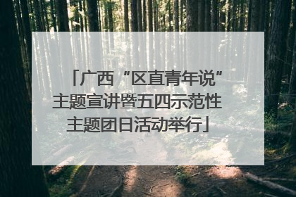 广西“区直青年说”主题宣讲暨五四示范性主题团日活动举行