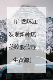 广西环江发现新种疣茎绞股蓝野生资源