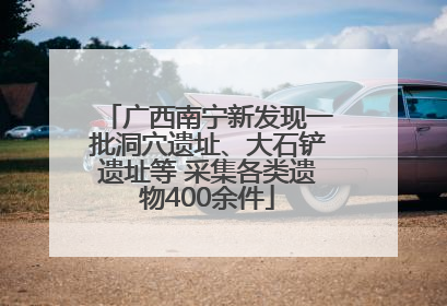 广西南宁新发现一批洞穴遗址、大石铲遗址等 采集各类遗物400余件