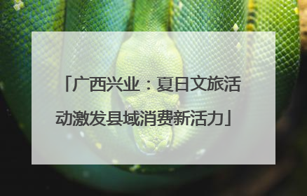 广西兴业：夏日文旅活动激发县域消费新活力