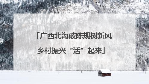 广西北海破陈规树新风 乡村振兴“活”起来