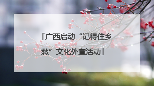 广西启动“记得住乡愁”文化外宣活动