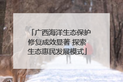 广西海洋生态保护修复成效显著 探索生态惠民发展模式