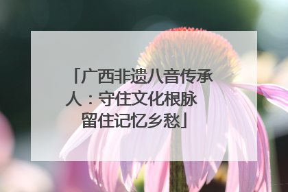 广西非遗八音传承人：守住文化根脉 留住记忆乡愁