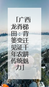 广西龙脊梯田：背篓变迁见证千年农耕传统魅力