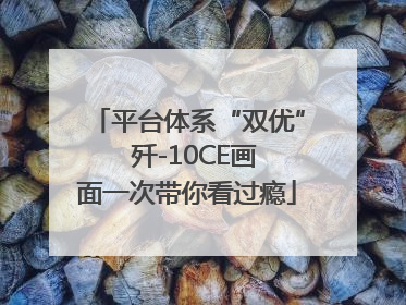 平台体系“双优”  歼-10CE画面一次带你看过瘾