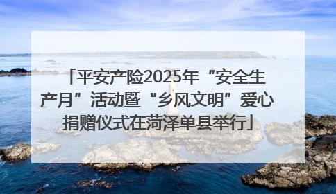 平安产险2025年“安全生产月”活动暨“乡风文明”爱心捐赠仪式在菏泽单县举行