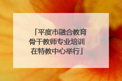 平度市融合教育骨干教师专业培训在特教中心举行