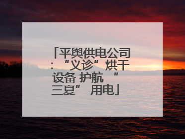 平舆供电公司：“义诊”烘干设备 护航 “三夏” 用电