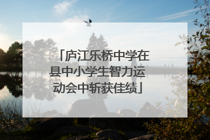 庐江乐桥中学在县中小学生智力运动会中斩获佳绩