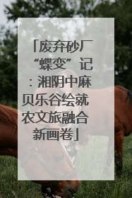 废弃砂厂“蝶变”记：湘阴中麻贝乐谷绘就农文旅融合新画卷