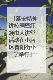 延安精神进校园暨红领巾大讲堂活动在小店区晋阳街小学举行
