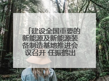 建设全国重要的新能源及新能源装备制造基地推进会议召开 任振鹤出席并讲话