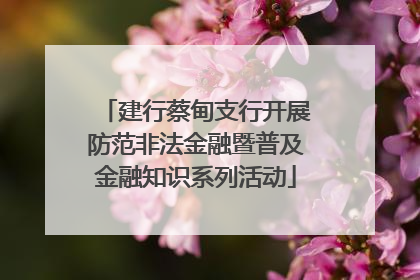 建行蔡甸支行开展防范非法金融暨普及金融知识系列活动