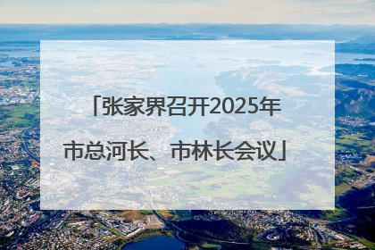 张家界召开2025年市总河长、市林长会议