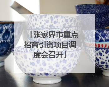 张家界市重点招商引资项目调度会召开