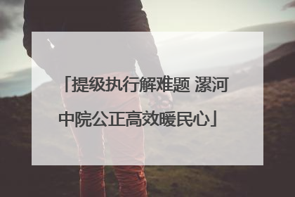 提级执行解难题 漯河中院公正高效暖民心
