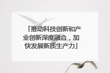 推动科技创新和产业创新深度融合，加快发展新质生产力