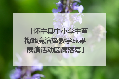 怀宁县中小学生黄梅戏竞演暨教学成果展演活动圆满落幕