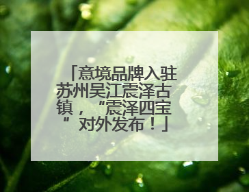 意境品牌入驻苏州吴江震泽古镇，“震泽四宝”对外发布！
