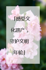 感受文化遗产，守护文明年轮