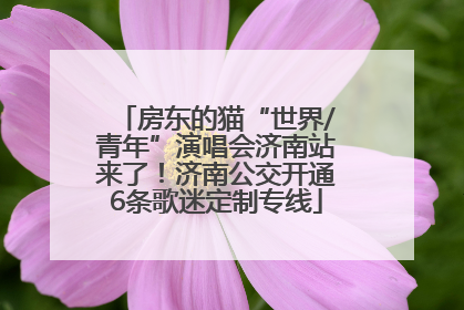 房东的猫“世界/青年”演唱会济南站来了！济南公交开通6条歌迷定制专线