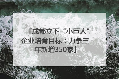 成都立下“小巨人”企业培育目标：力争三年新增350家