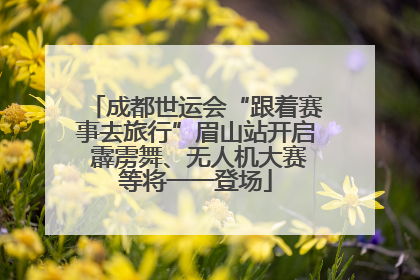 成都世运会“跟着赛事去旅行”眉山站开启 霹雳舞、无人机大赛等将一一登场