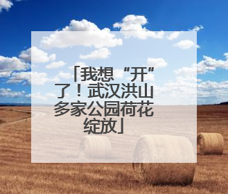 我想“开”了！武汉洪山多家公园荷花绽放
