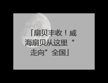 扇贝丰收！威海扇贝从这里“走向”全国
