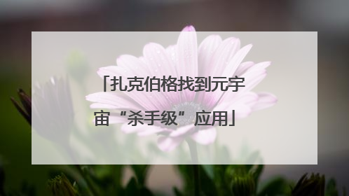 扎克伯格找到元宇宙“杀手级”应用