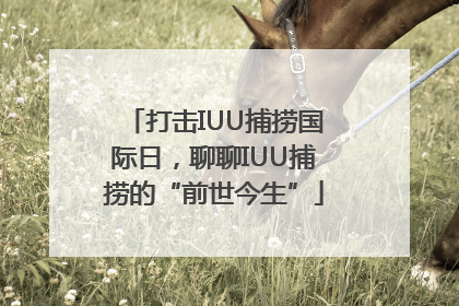 打击IUU捕捞国际日，聊聊IUU捕捞的“前世今生”
