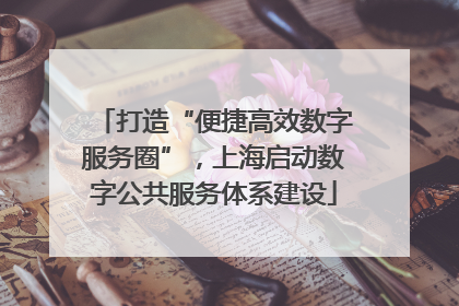 打造“便捷高效数字服务圈”，上海启动数字公共服务体系建设