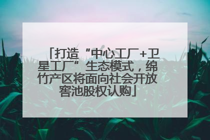 打造“中心工厂+卫星工厂”生态模式，绵竹产区将面向社会开放窖池股权认购