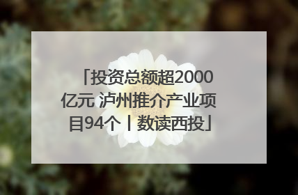 投资总额超2000亿元 泸州推介产业项目94个丨数读西投