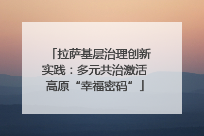 拉萨基层治理创新实践：多元共治激活高原“幸福密码”