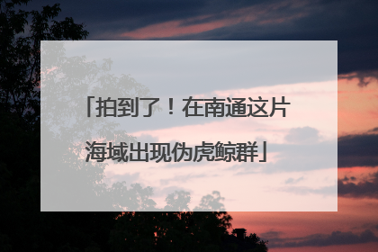 拍到了！在南通这片海域出现伪虎鲸群
