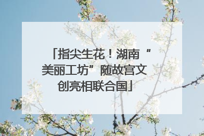 指尖生花！湖南“美丽工坊”随故宫文创亮相联合国