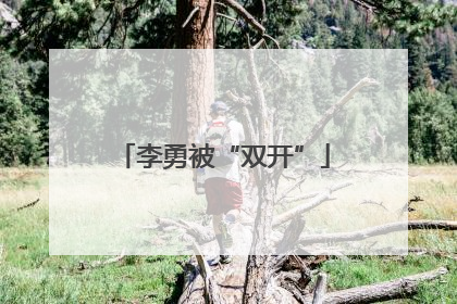 李勇被“双开”
