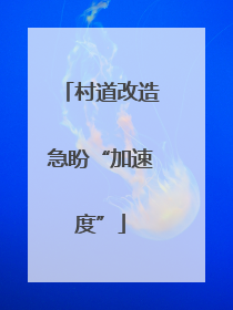 村道改造急盼“加速度”