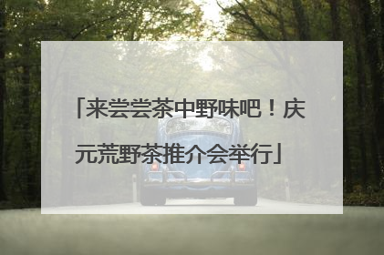 来尝尝茶中野味吧！庆元荒野茶推介会举行