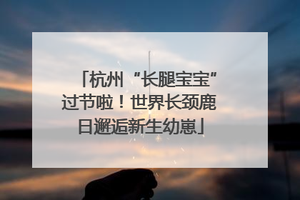 杭州“长腿宝宝”过节啦！世界长颈鹿日邂逅新生幼崽