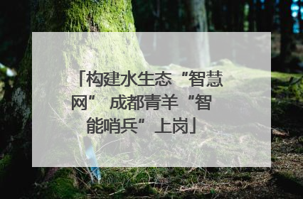 构建水生态“智慧网” 成都青羊“智能哨兵”上岗