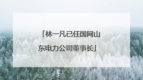 林一凡已任国网山东电力公司董事长