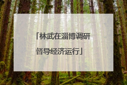 林武在淄博调研督导经济运行