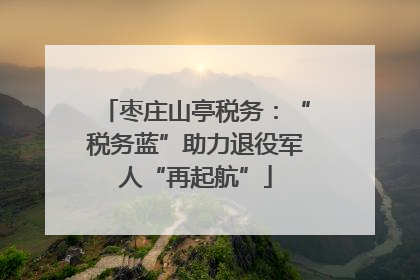 枣庄山亭税务：“税务蓝”助力退役军人“再起航”