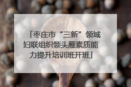 枣庄市“三新”领域妇联组织领头雁素质能力提升培训班开班