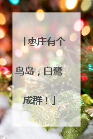 枣庄有个鸟岛，白鹭成群！