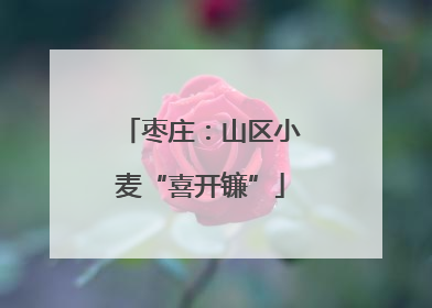 枣庄：山区小麦“喜开镰”