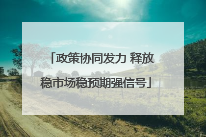 政策协同发力 释放稳市场稳预期强信号